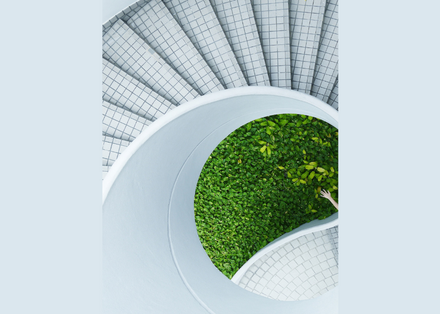 7 steps to effective marketing automation for non-profits in ANZ